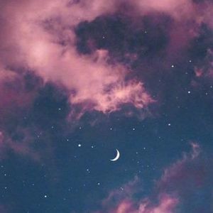 Meet your Posher, Teagan